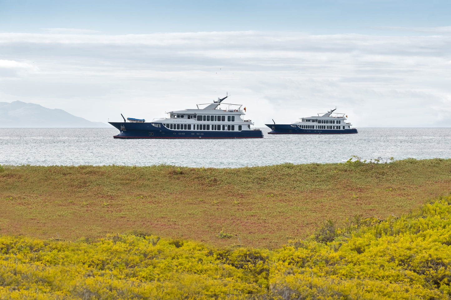 Islas Galápagos: Crucero Exclusivo II