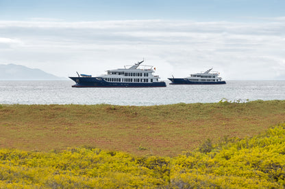 Islas Galápagos: Crucero Exclusivo II