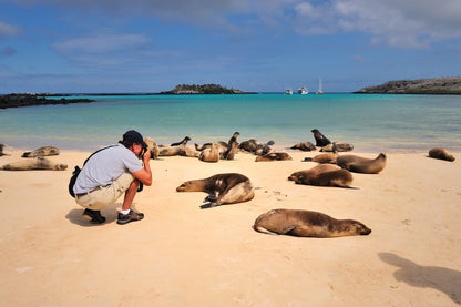 Galápagos: Nature & Luxury 4 (6 Noches)