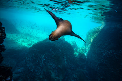 Galápagos: Nature & Luxury 2 (4 Noches)