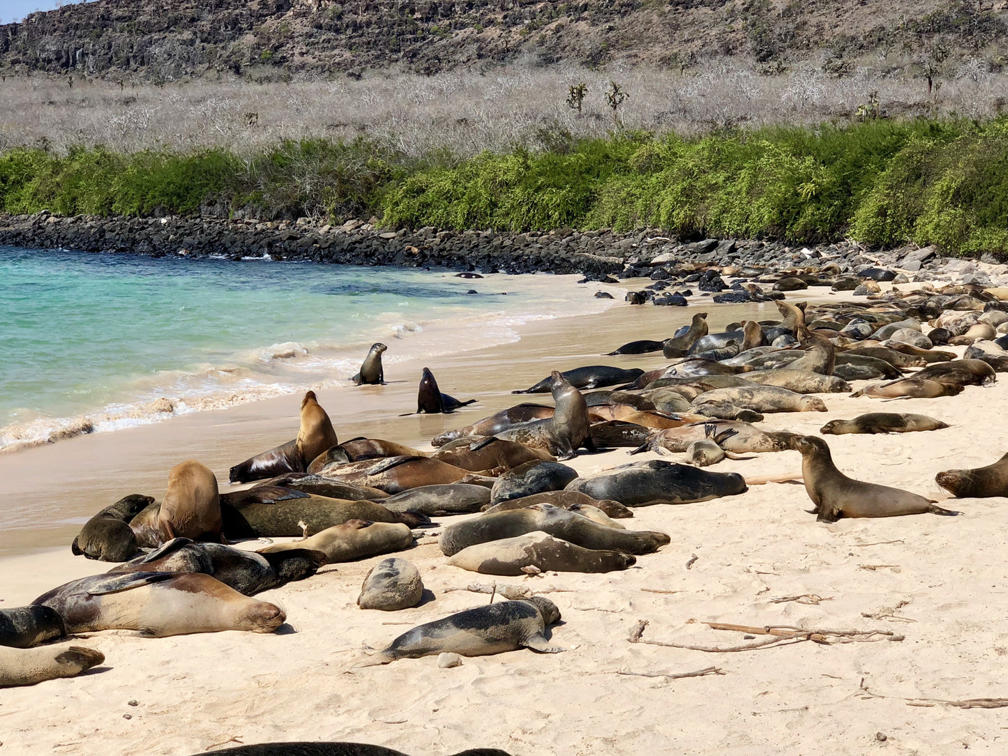 Galápagos: Nature & Luxury 3 (5 Noches)