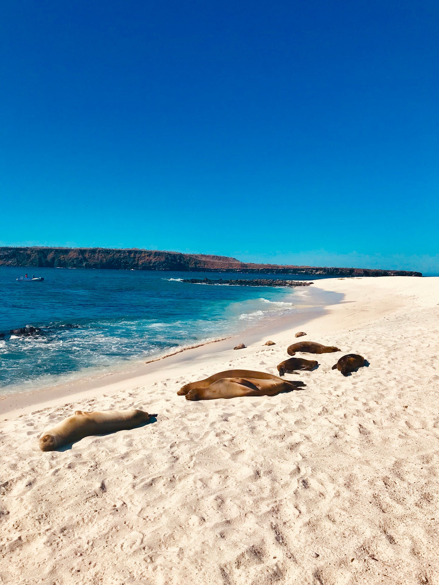 Galápagos: Nature & Luxury 3 (5 Noches)