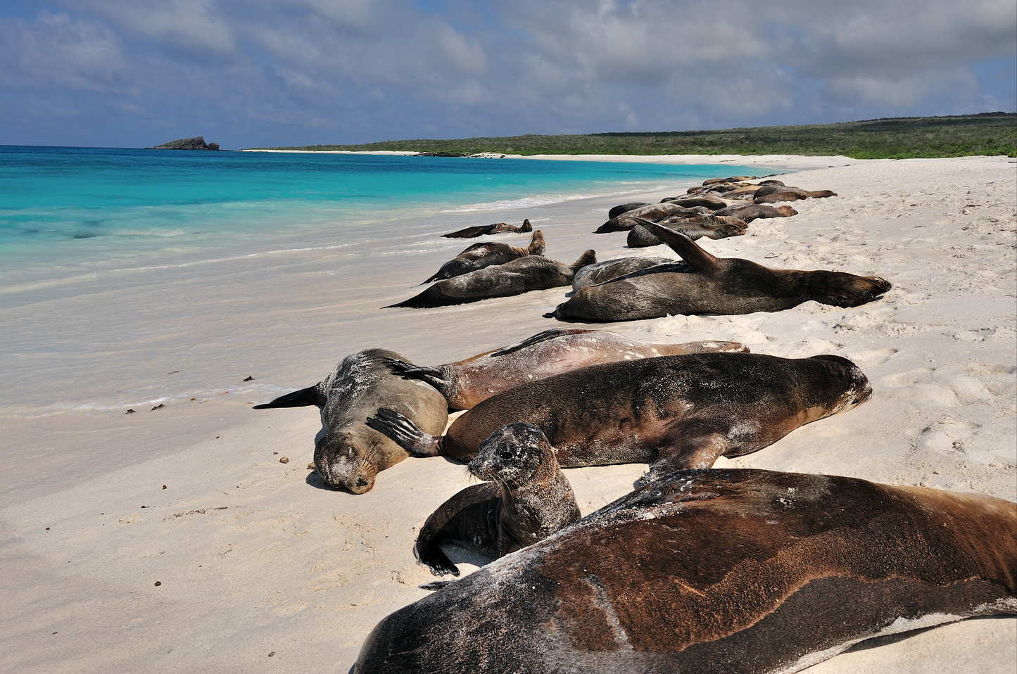 Galápagos: Nature & Luxury 5 (7 Noches)