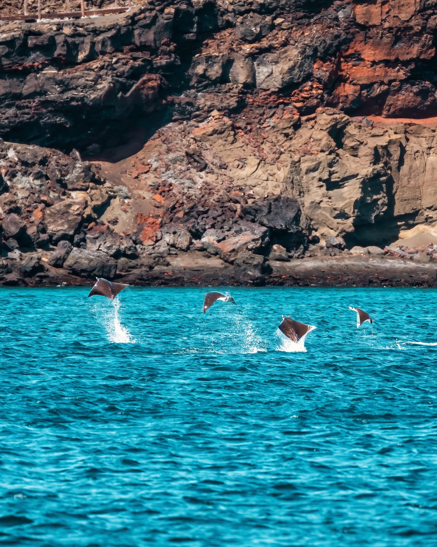 Galápagos: Nature & Luxury 2 (4 Noches)
