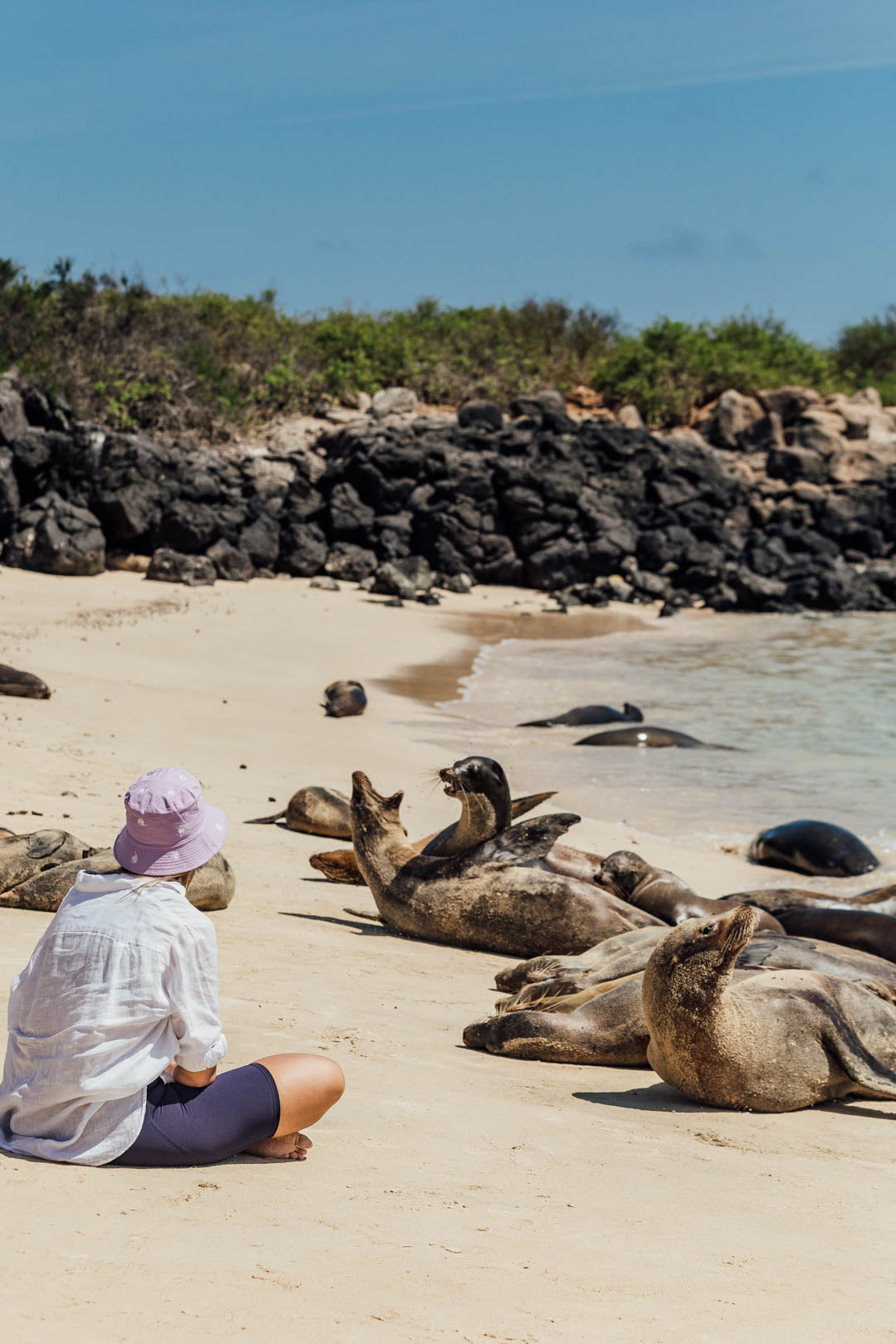 Galápagos: Nature & Luxury 4 (6 Noches)