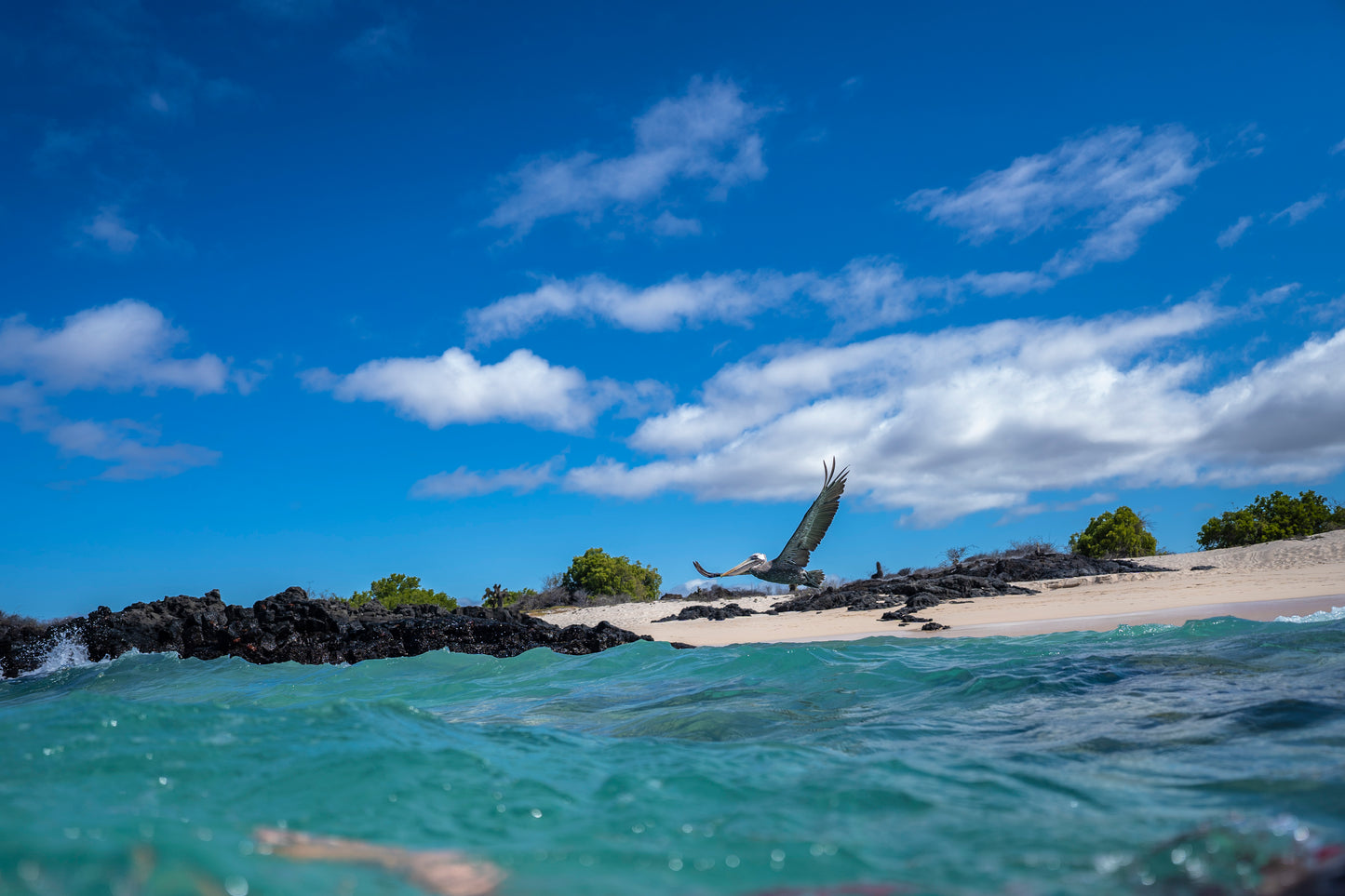 Galápagos: Nature & Luxury 3 (5 Noches)