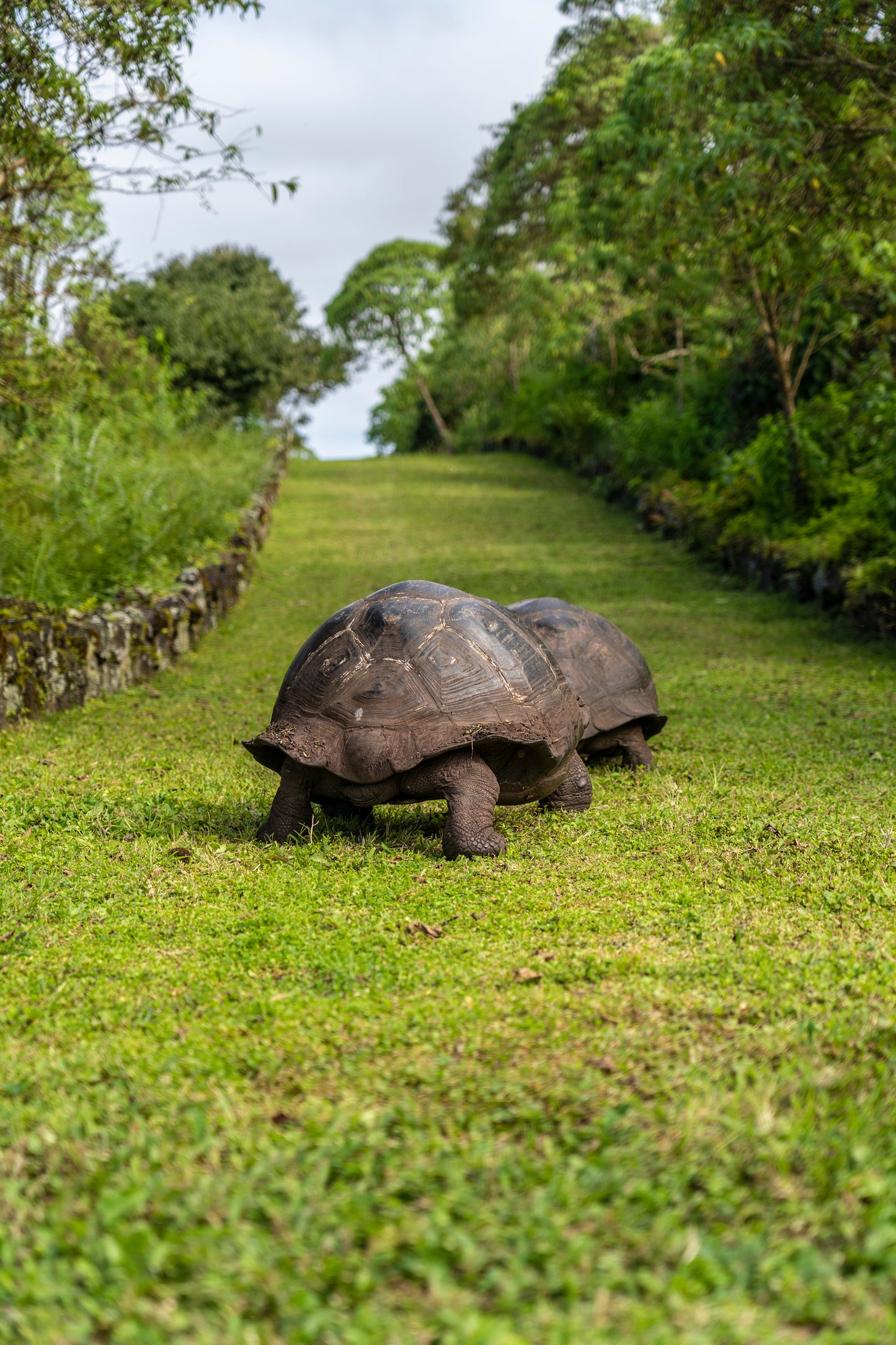 Galápagos: Nature & Luxury 5 (7 Noches)