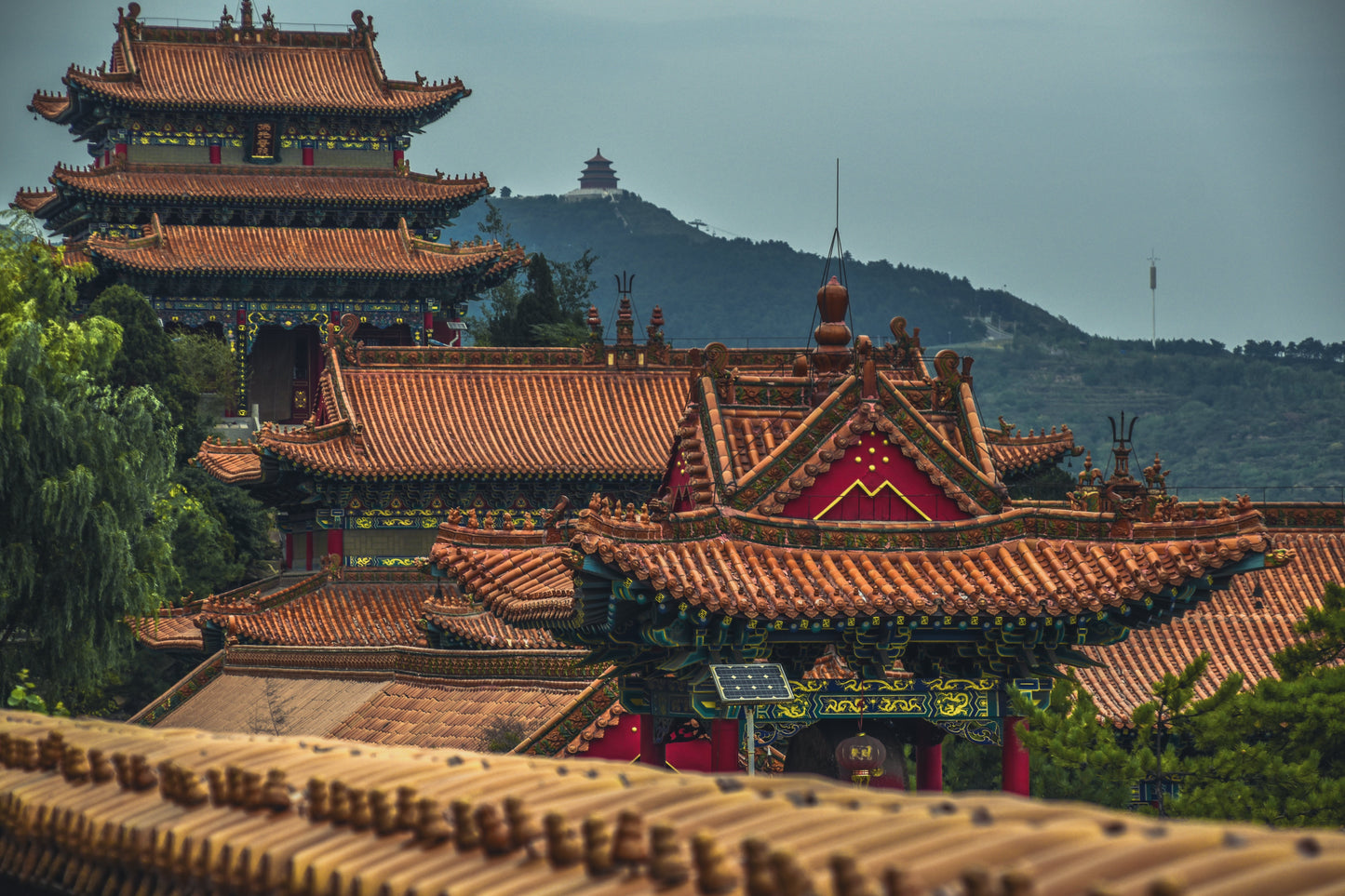 China Ancestral & Hong Kong