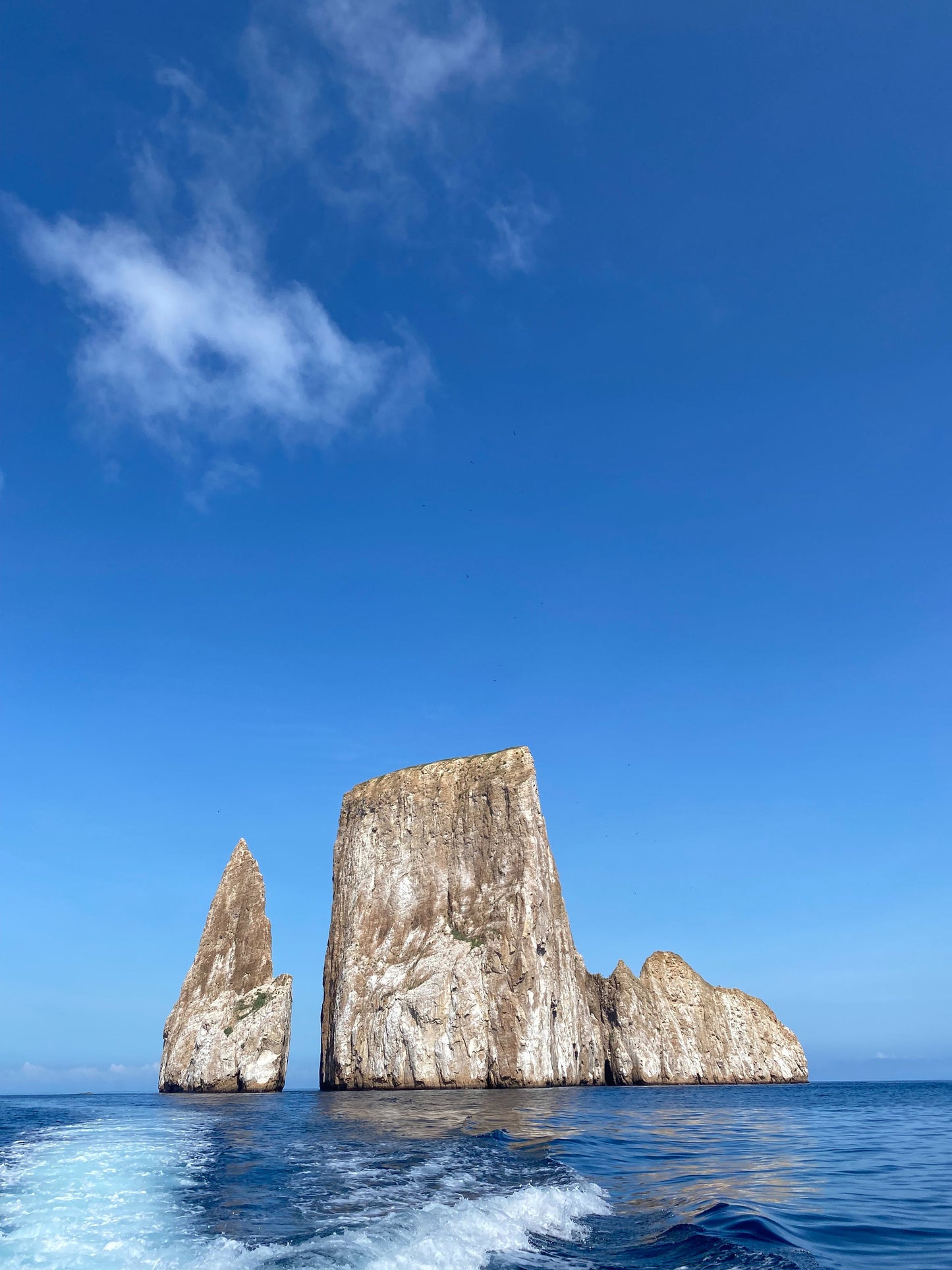 Islas Galápagos: Crucero Exclusivo I