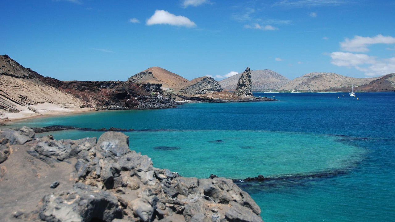 Islas Galápagos: Crucero Exclusivo I
