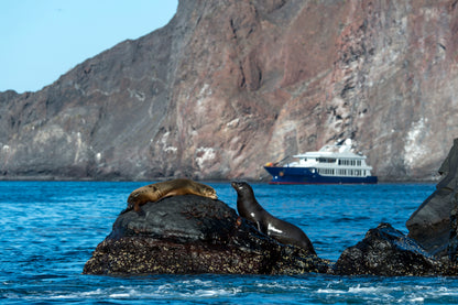 Islas Galápagos: Crucero Exclusivo II