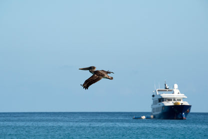Islas Galápagos: Crucero Exclusivo II