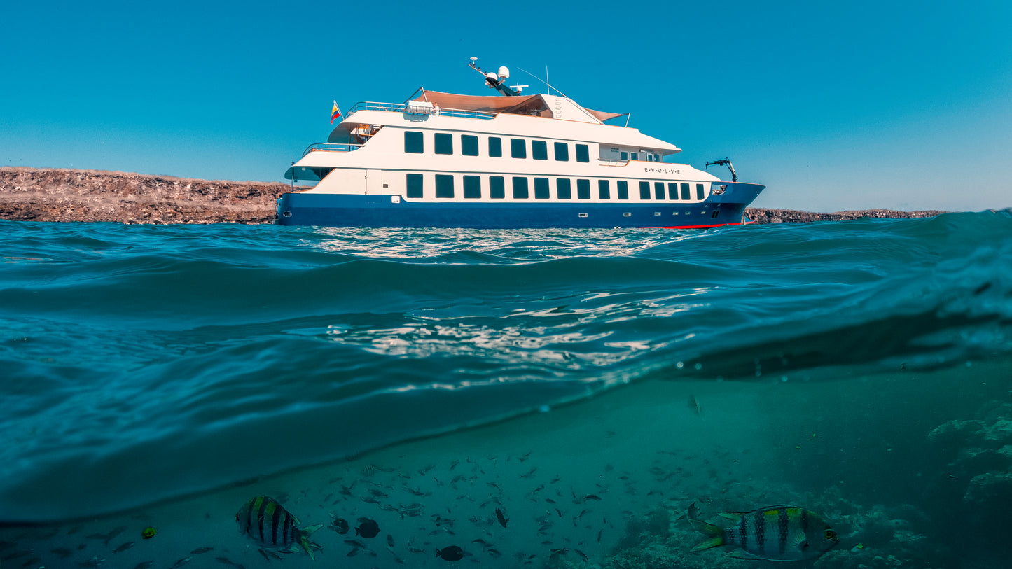 Islas Galápagos: Crucero Exclusivo I