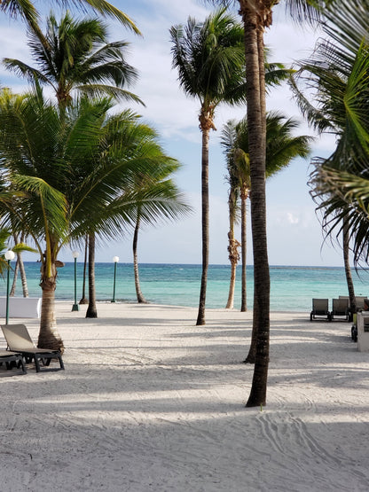 México: Pirámides, playas y catedrales