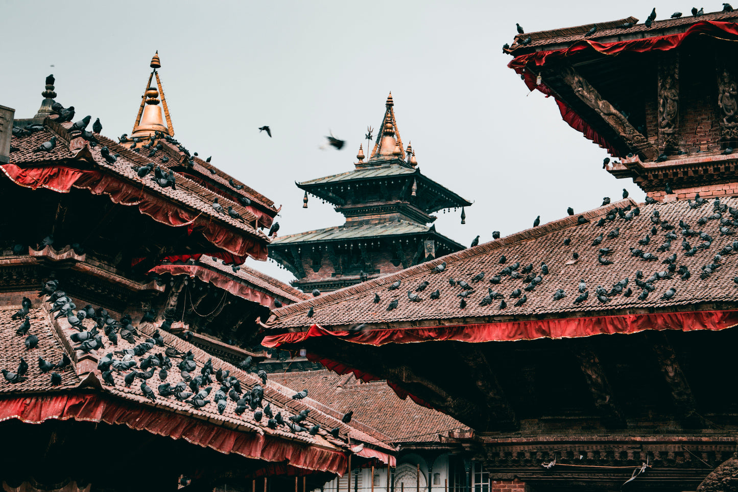 Lo Mejor de India - Nepal