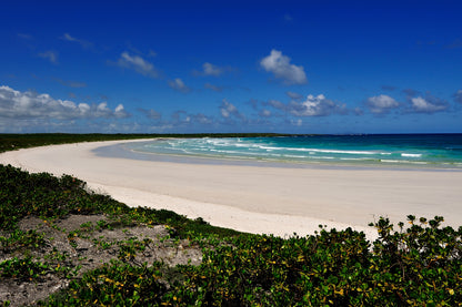 Galápagos: Nature & Luxury 5 (7 Noches)